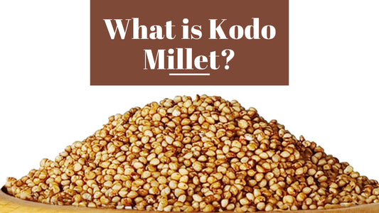 What is Kodo Millet?