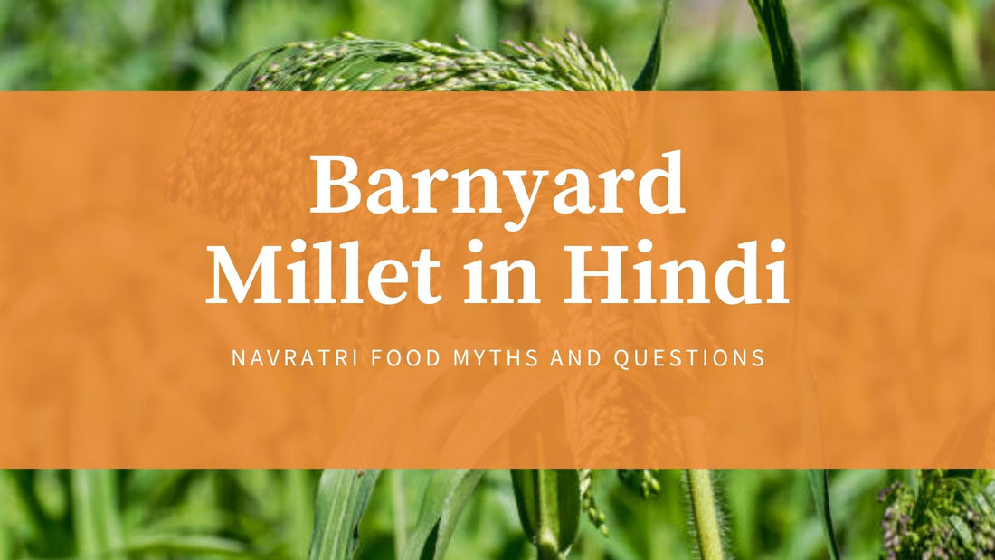 Barnyard millet in hindi