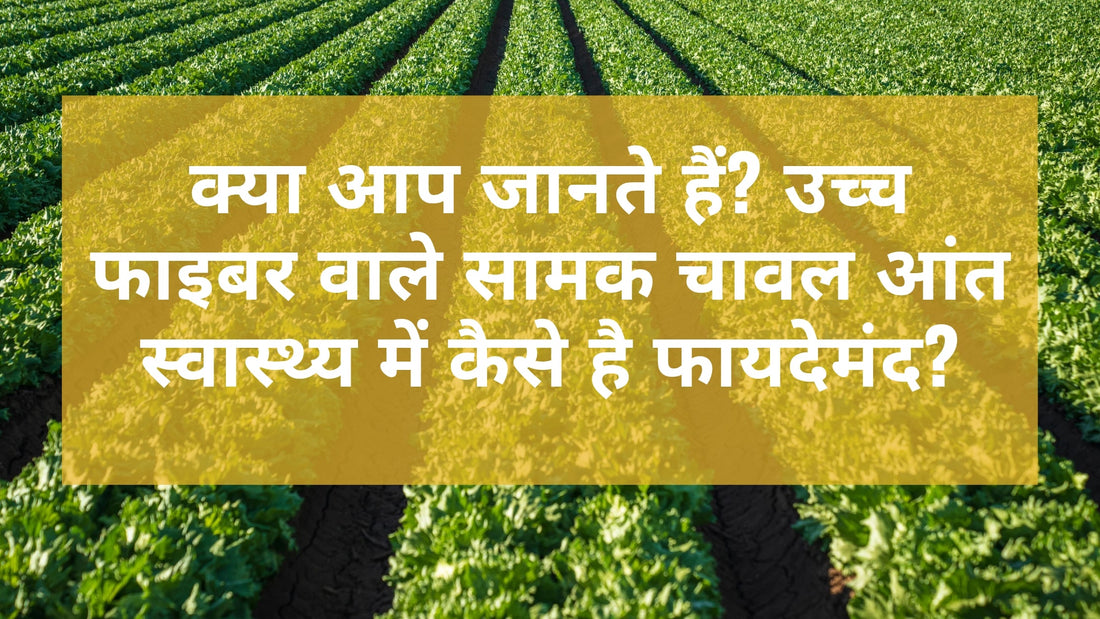 क्या आप जानते हैं? उच्च फाइबर वाले सामक चावल आंत स्वास्थ्य में कैसे है फायदेमंद?