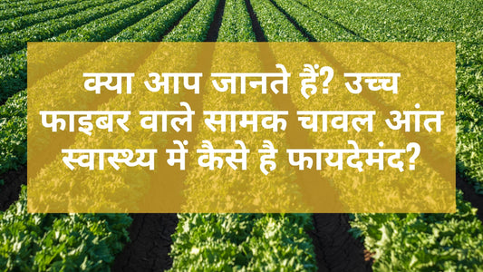 क्या आप जानते हैं? उच्च फाइबर वाले सामक चावल आंत स्वास्थ्य में कैसे है फायदेमंद?