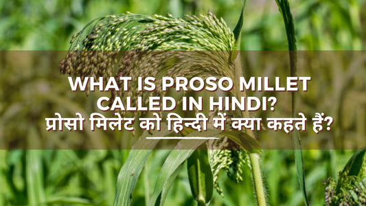 what is proso millet called in hindi? प्रोसो मिलेट को हिन्दी में क्या कहते हैं?