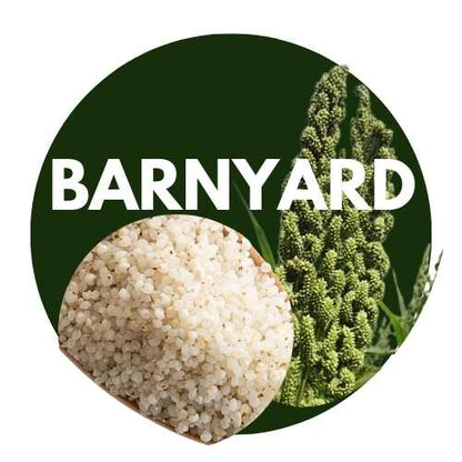 Barnyard  Millet unpolished