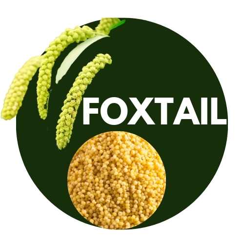 Foxtail Millet unpolished