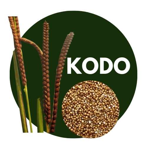 Kodo Millet Unpolished